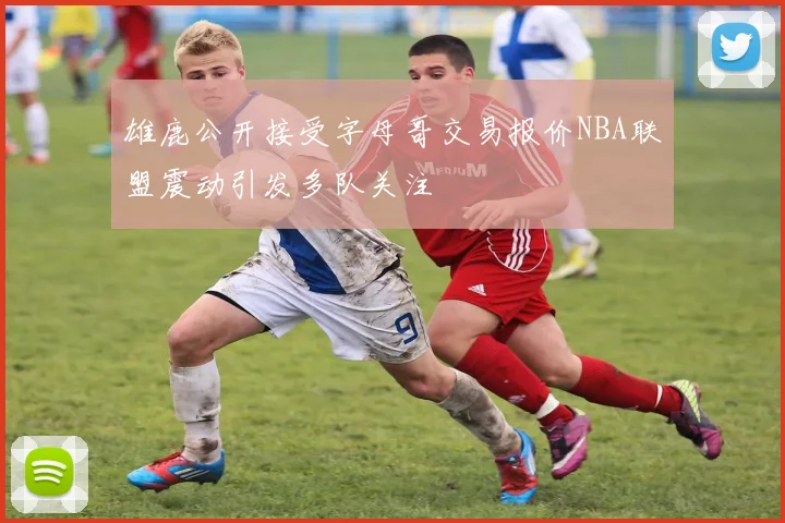 雄鹿公开接受字母哥交易报价NBA联盟震动引发多队关注